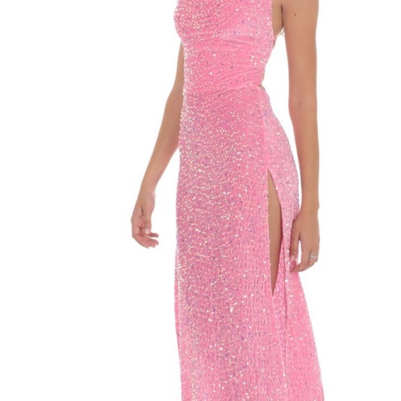 Lucy in the Sky Pink Velvet Sequin Dress - Picture 7 of 11